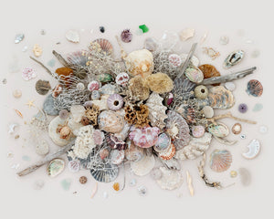 Island Mix on Light