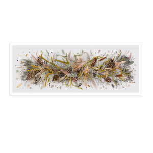 Lichen and Moss | Panorama