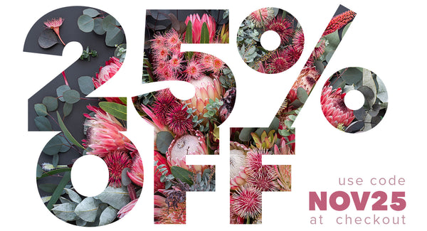 🎁 25% Off — Collector’s Event