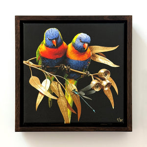 Lorikeets on Silver Princess Gum | Canvas 20x20cm