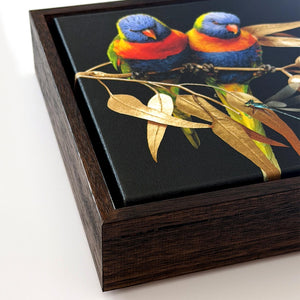 Lorikeets on Silver Princess Gum | Canvas 20x20cm