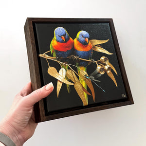 Lorikeets on Silver Princess Gum | Canvas 20x20cm
