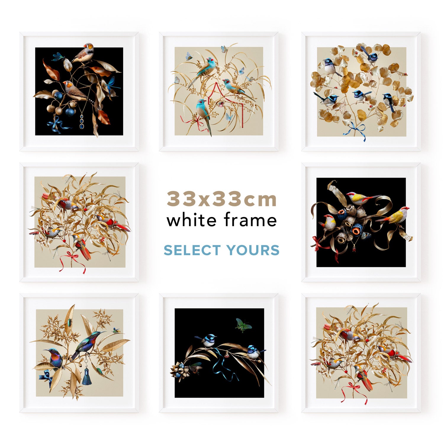 Colourful Wings Collection 33 x 33 cm