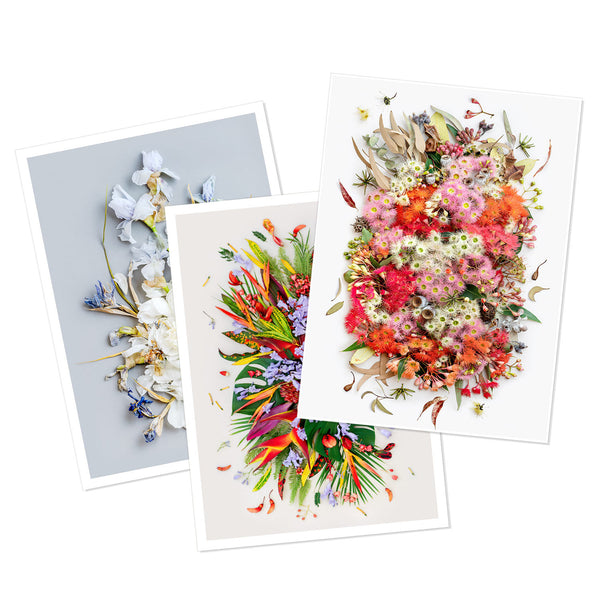 🎁 Studio Gift with every order: LAST day