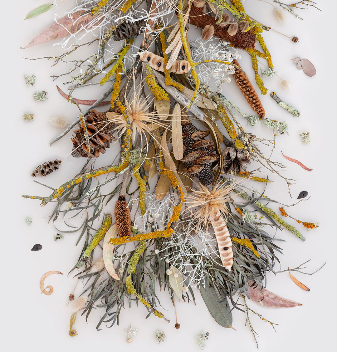 Lichen and Moss | Panorama