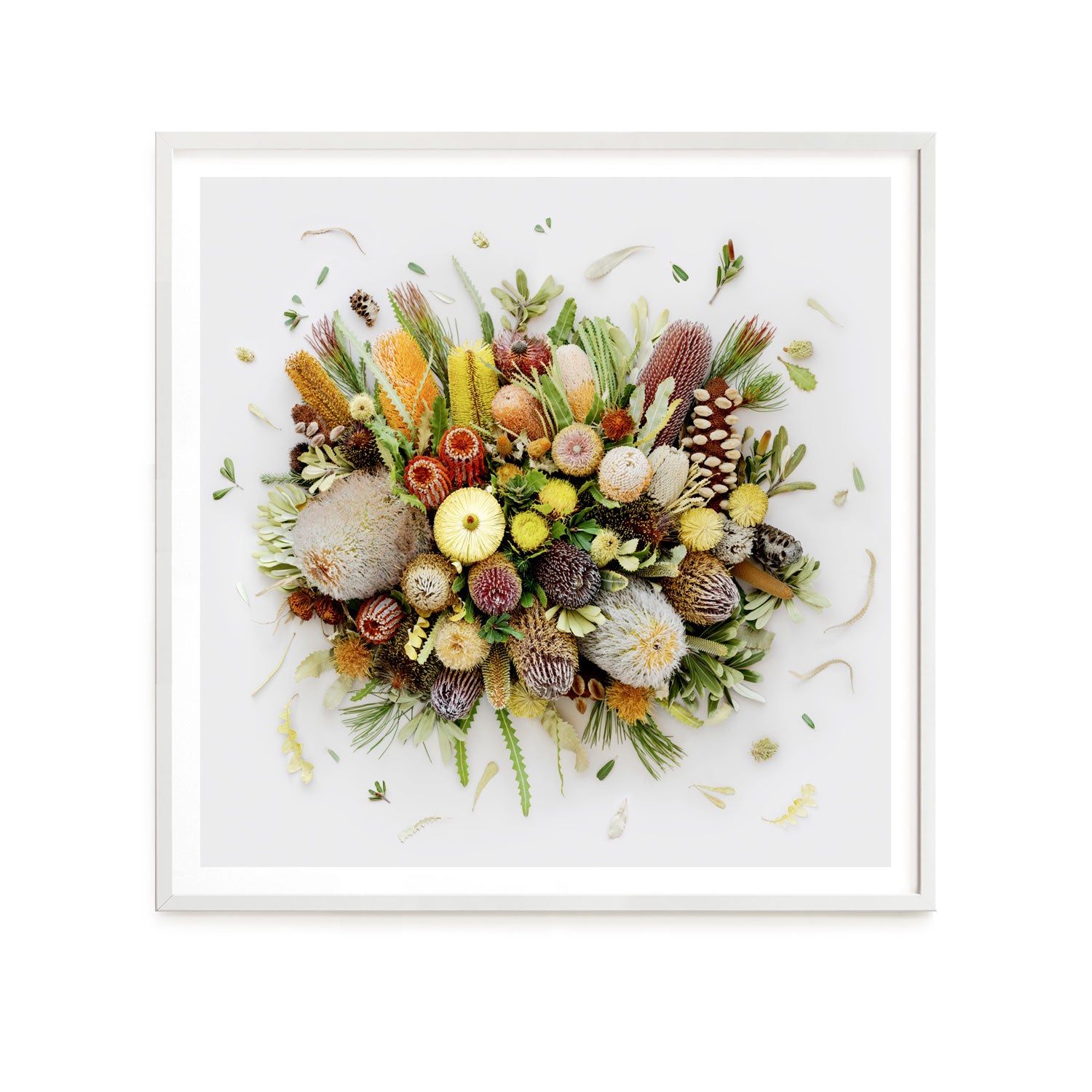 Herbarium Collection 33 x 33 cm