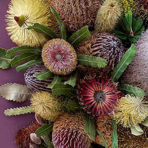 Banksias On Purple