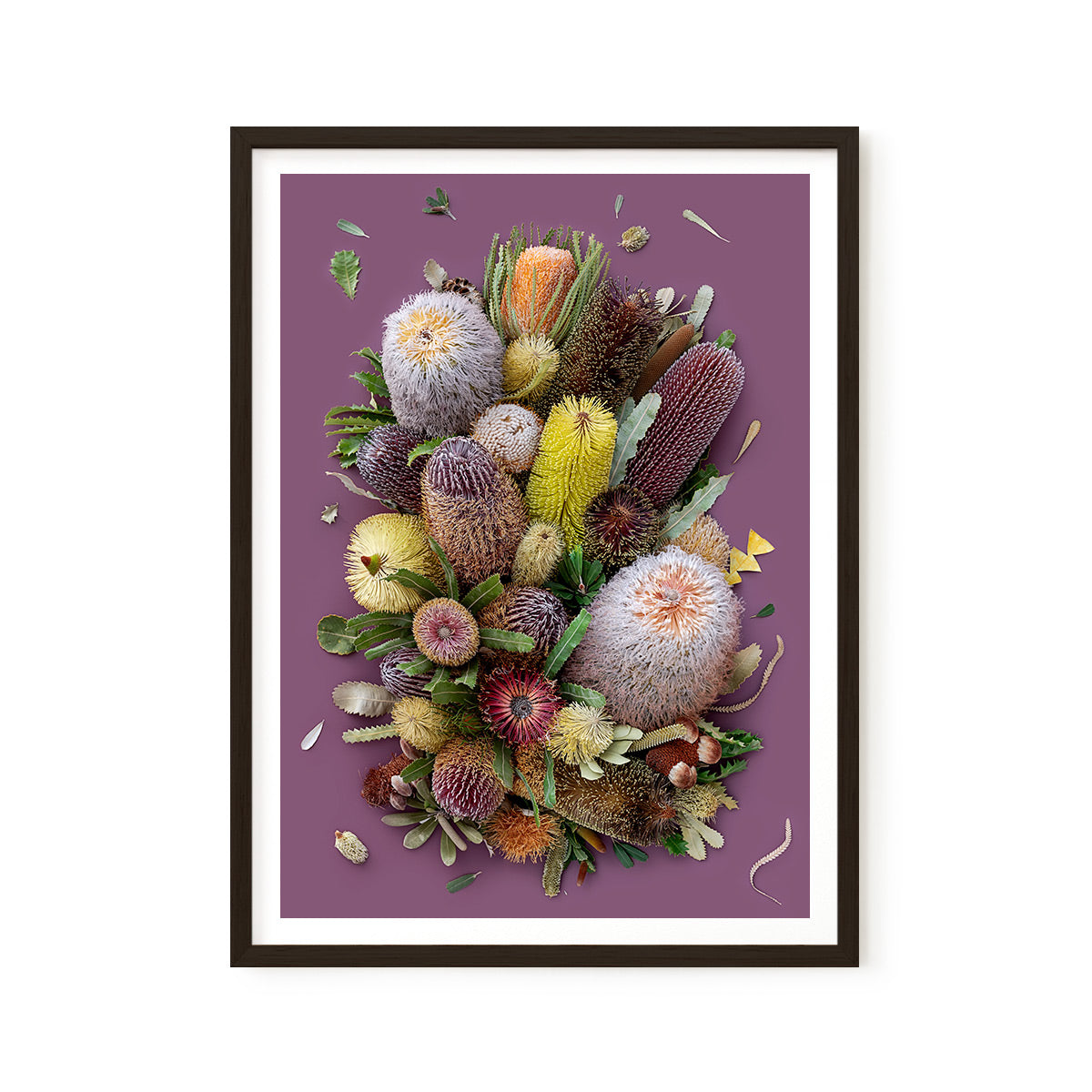 Banksias On Purple