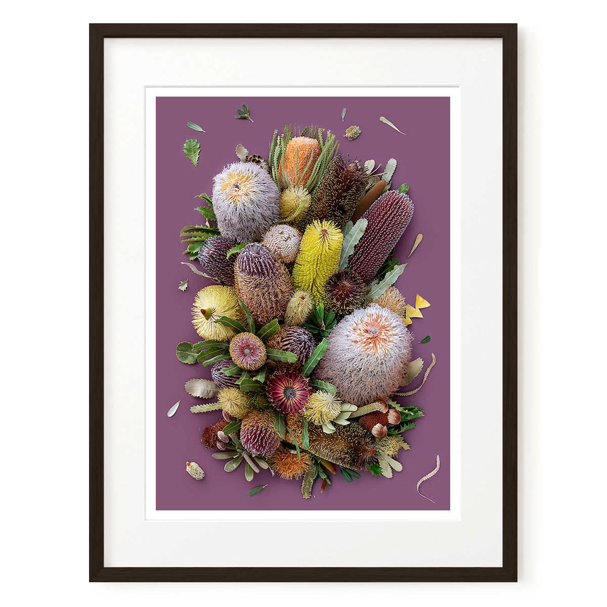 Banksias On Purple