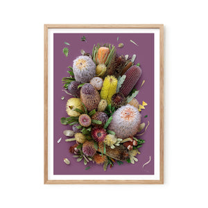 Banksias On Purple