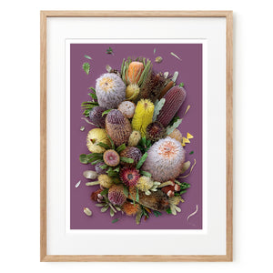 Banksias On Purple