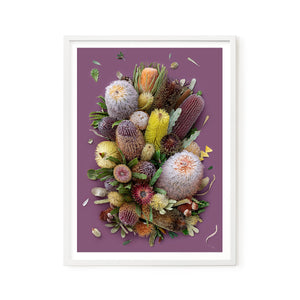 Banksias On Purple