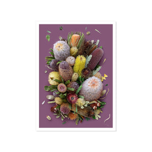 Banksias On Purple