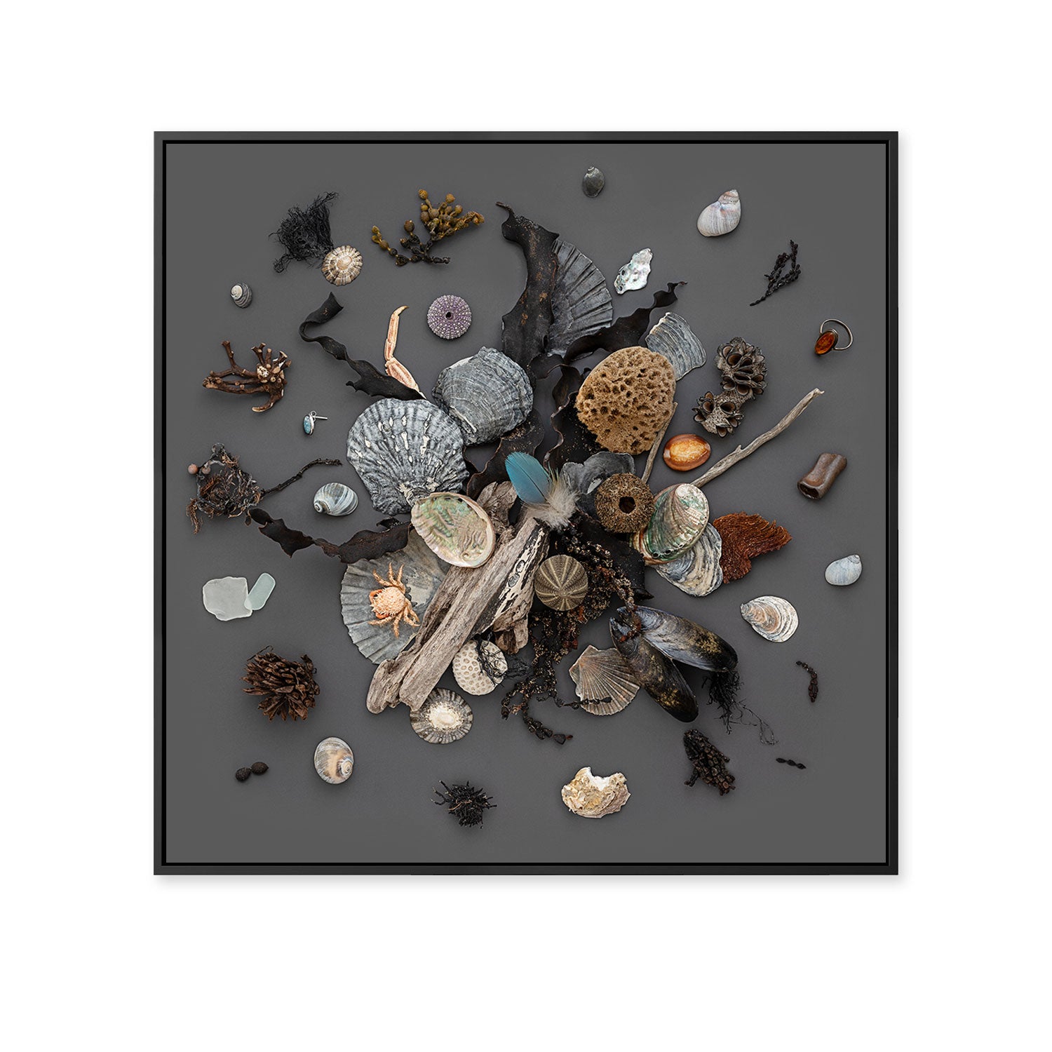 Beach Finds 01 Dark | 45 x 45 Black Frame