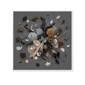 Beach Finds 01 - Dark