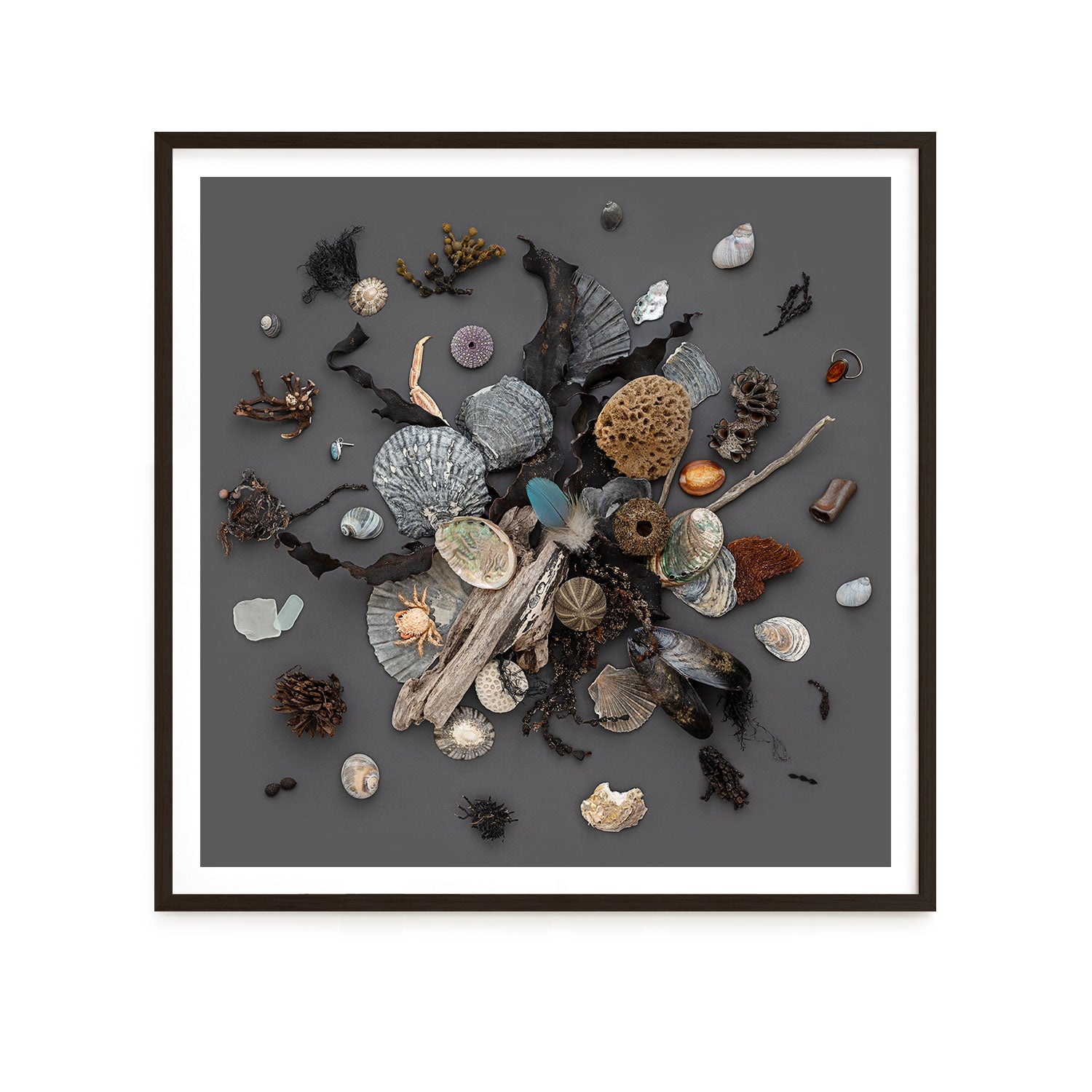 Beach Finds 01 - Dark