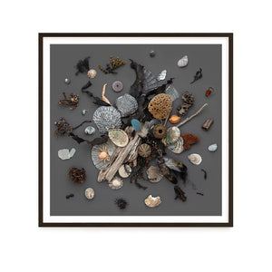 Beach Finds 01 - Dark