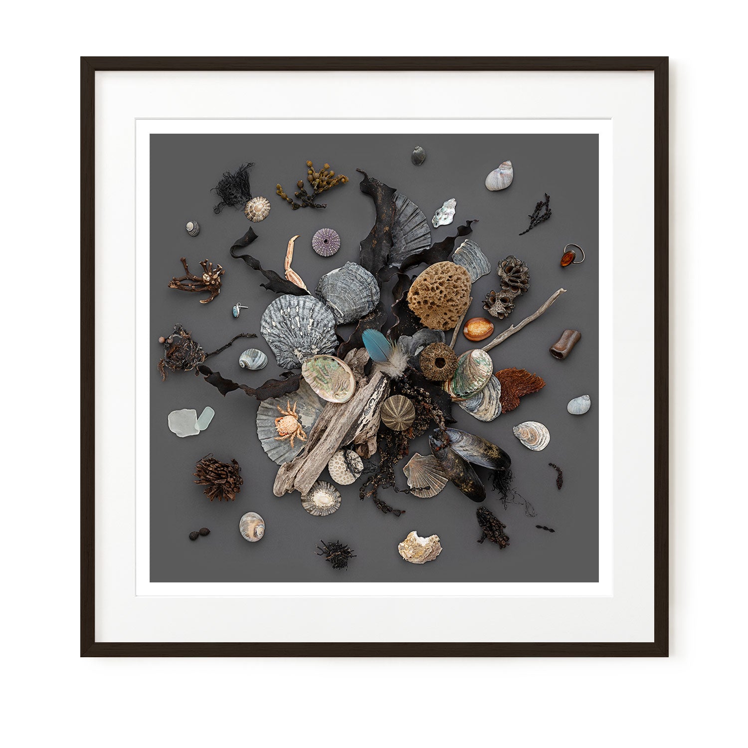 Beach Finds 01 - Dark