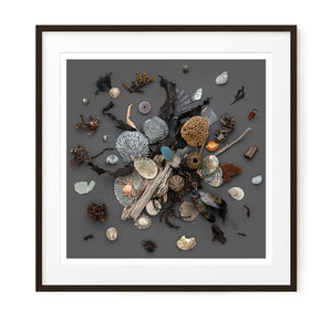 Beach Finds 01 - Dark