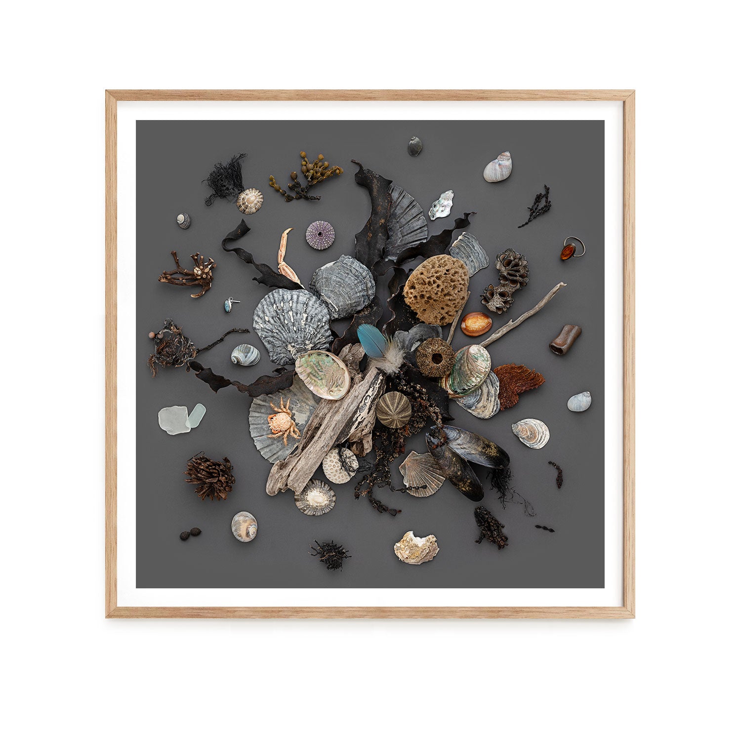 Beach Finds 01 - Dark
