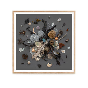 Beach Finds 01 - Dark