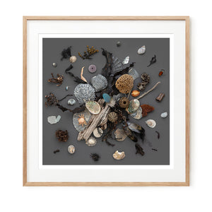 Beach Finds 01 - Dark