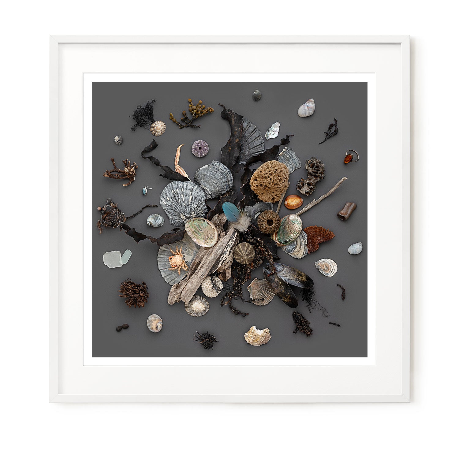 Beach Finds 01 - Dark