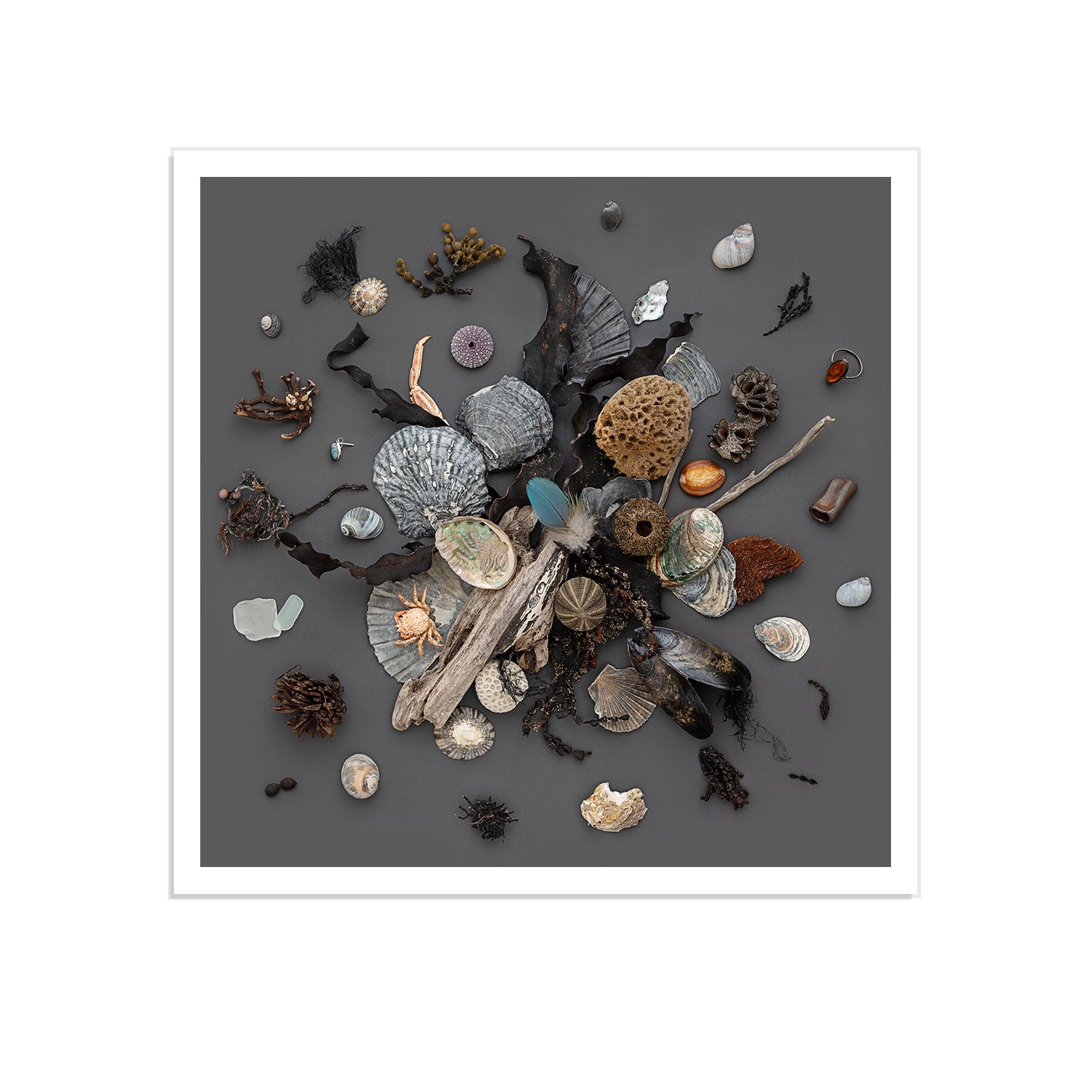 Beach Finds 01 - Dark