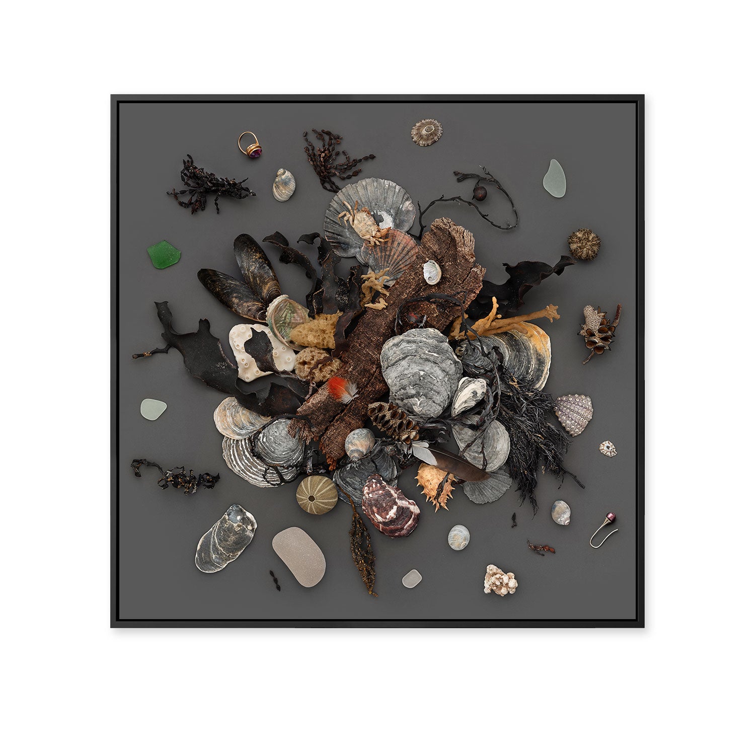 Beach Finds 02 Dark | 45 x 45 Black Frame