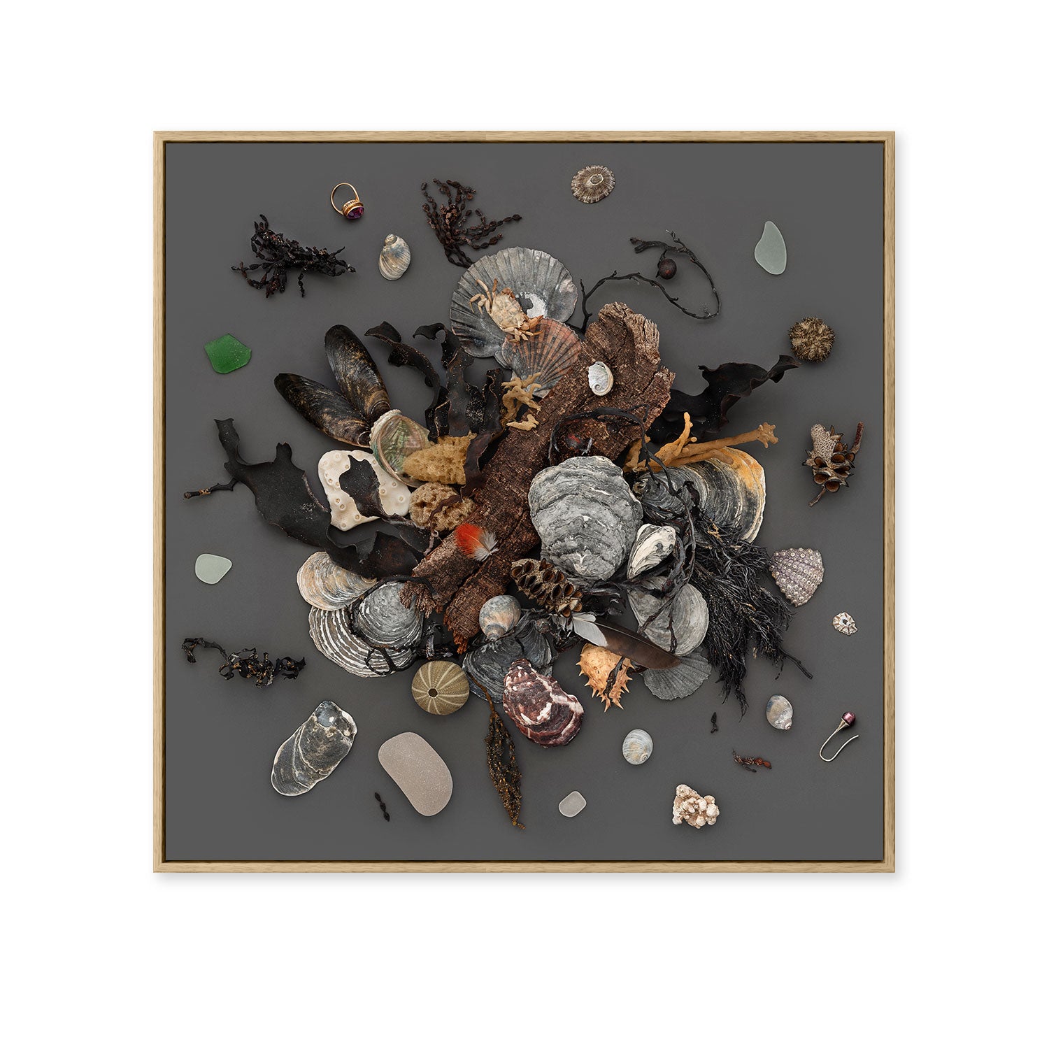 Beach Finds 02 - Dark