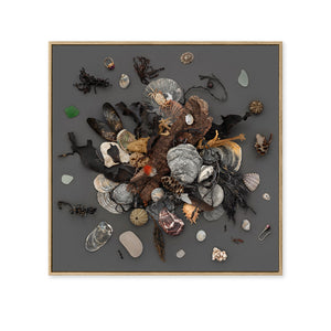 Beach Finds 02 - Dark