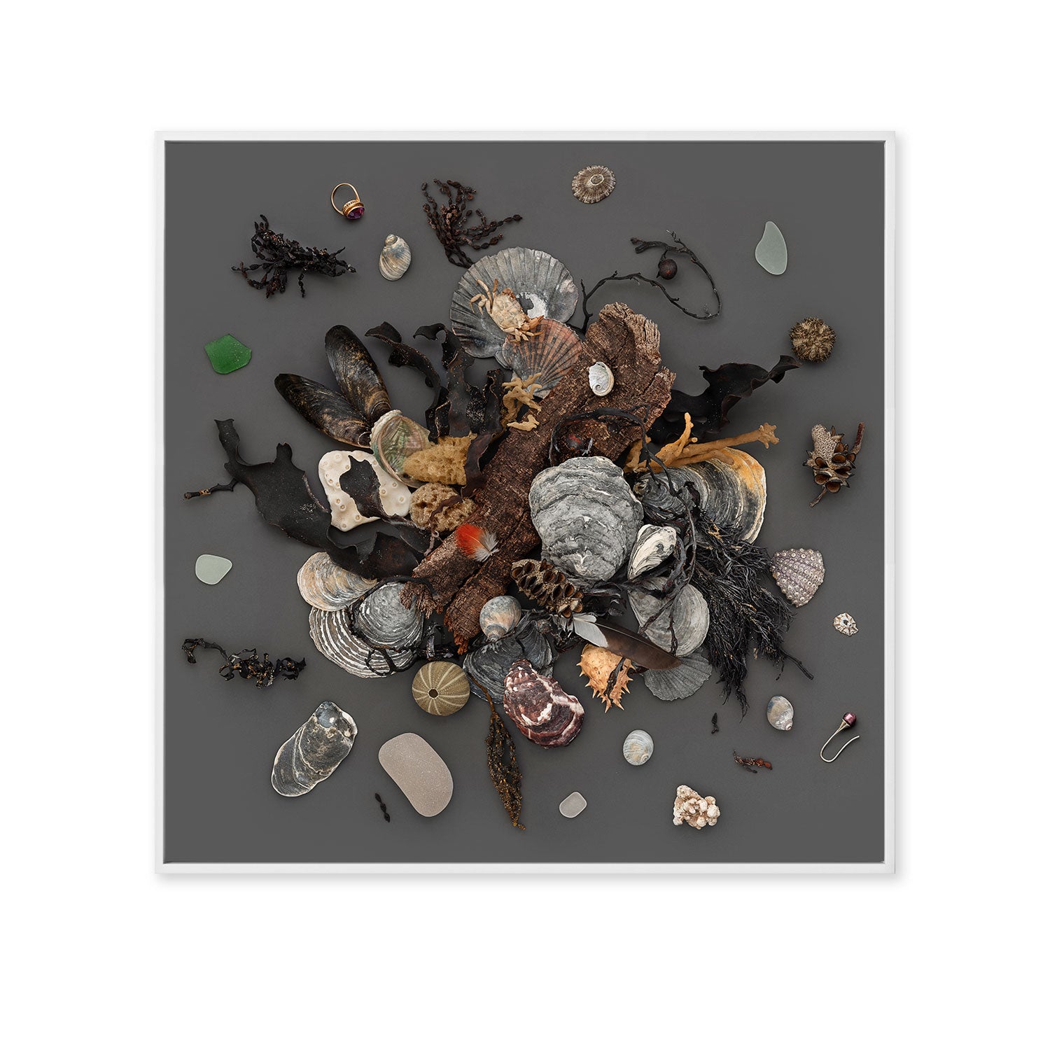 Beach Finds 02 - Dark