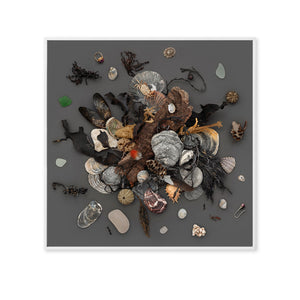 Beach Finds 02 - Dark