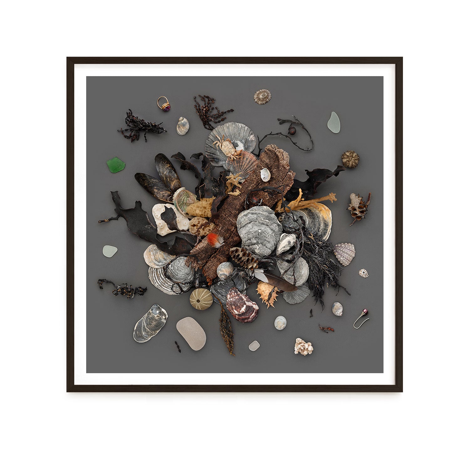 Beach Finds 02 - Dark