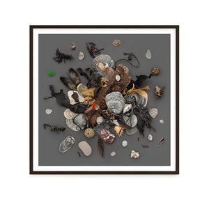 Beach Finds 02 - Dark