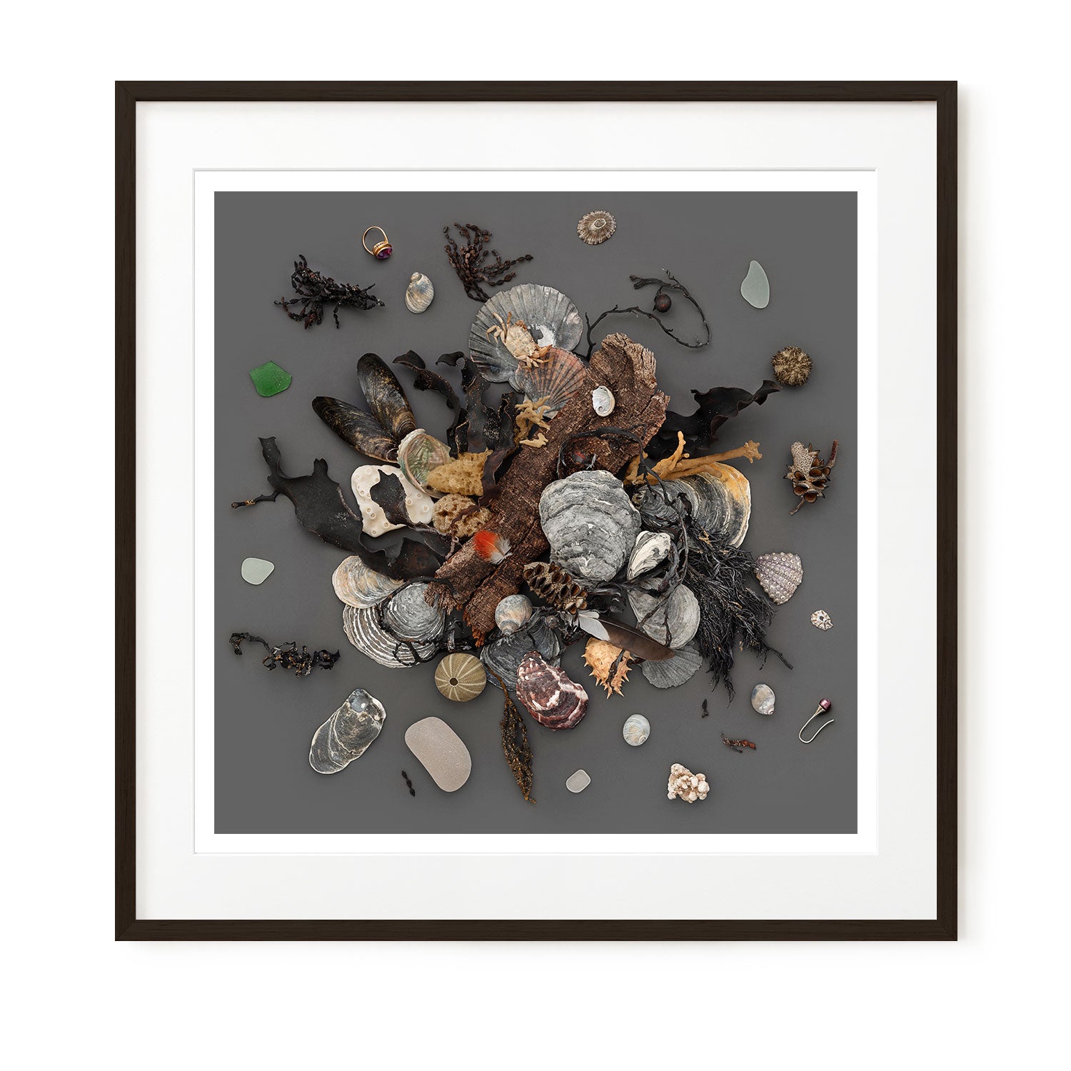 Beach Finds 02 - Dark