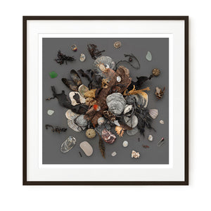 Beach Finds 02 - Dark