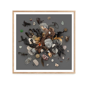Beach Finds 02 - Dark