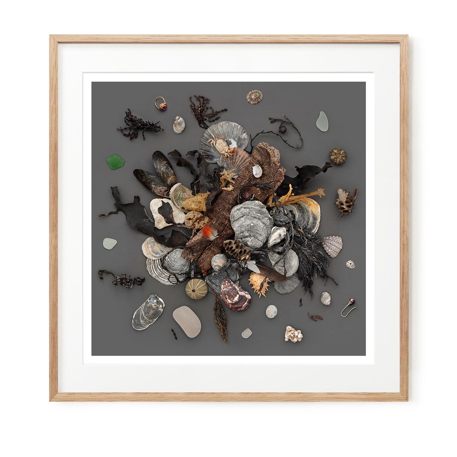 Beach Finds 02 - Dark