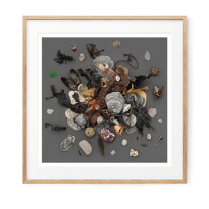 Beach Finds 02 - Dark