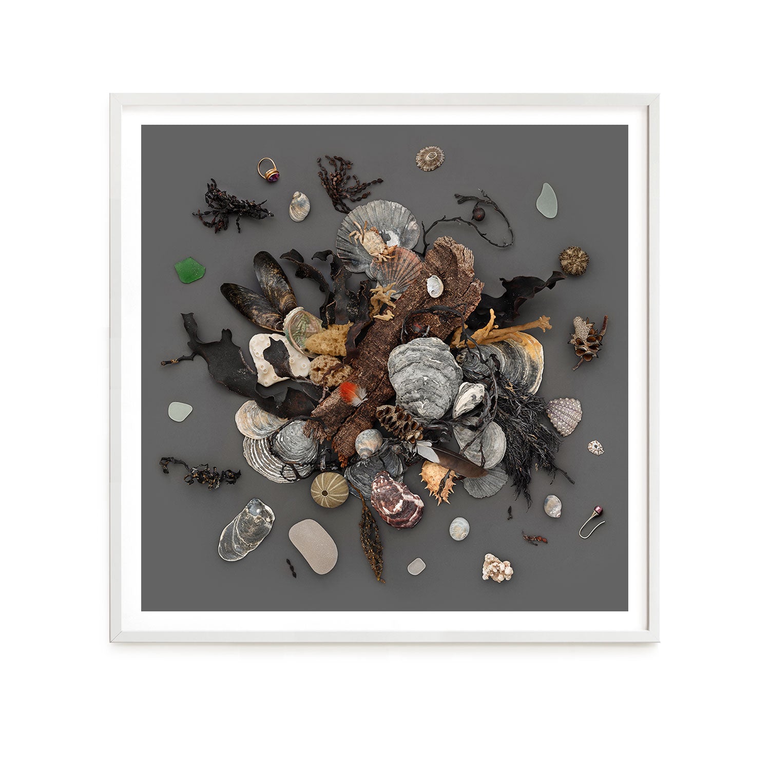 Beach Finds 02 - Dark