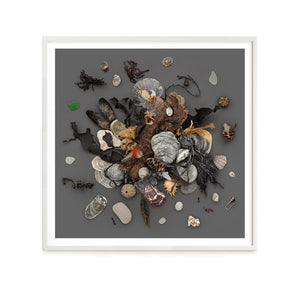 Beach Finds 02 - Dark
