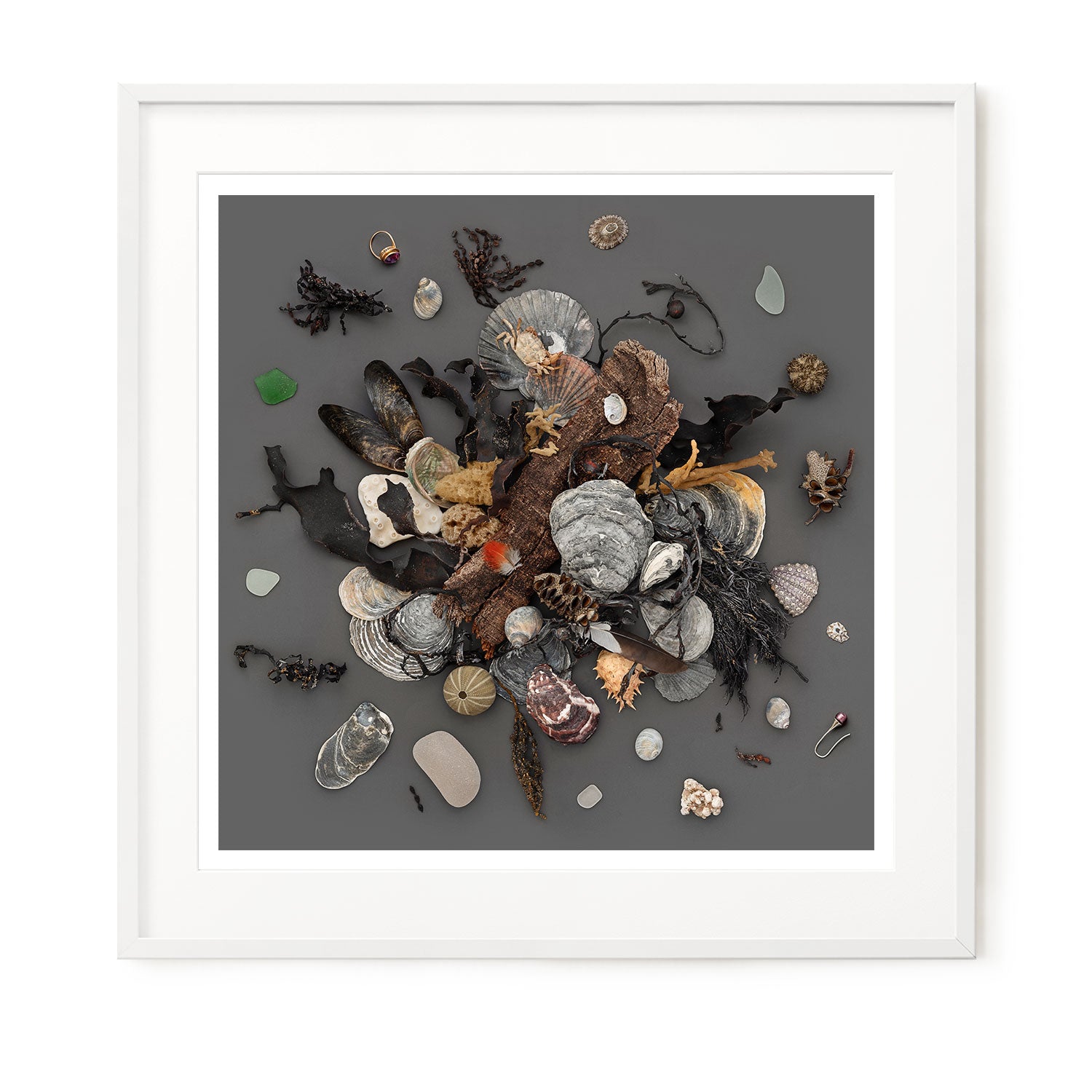 Beach Finds 02 - Dark