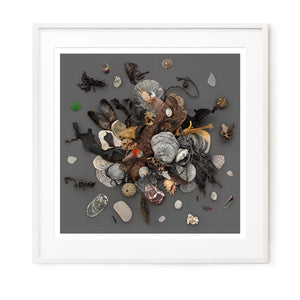Beach Finds 02 - Dark
