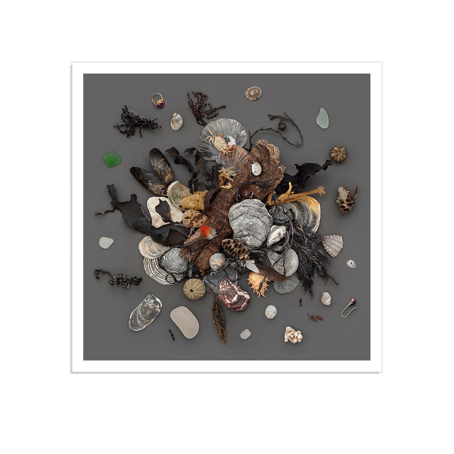 Beach Finds 02 - Dark