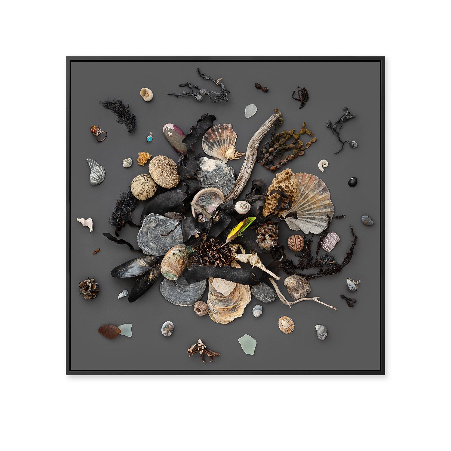Beach Finds 03 Dark | 45 x 45 Black Frame
