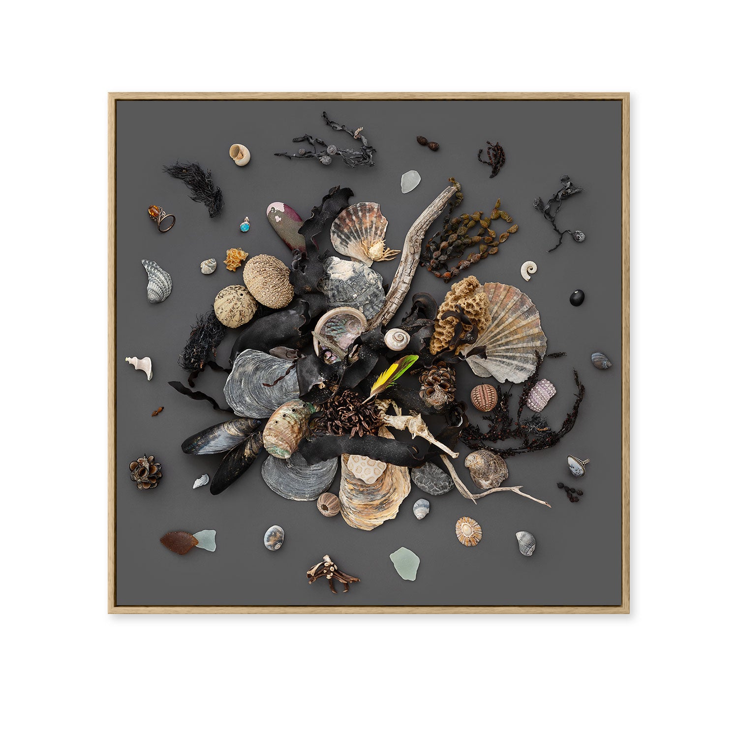 Beach Finds 03 - Dark