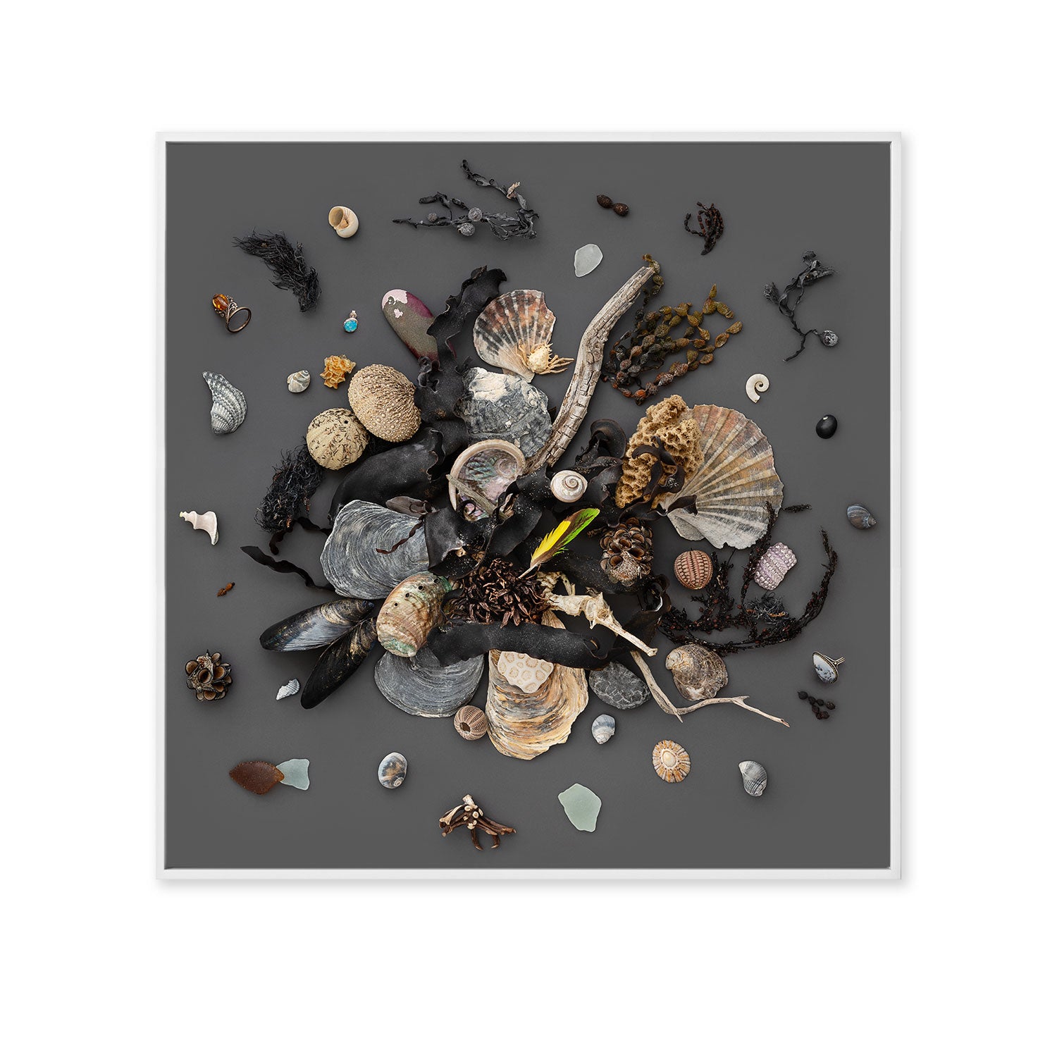 Beach Finds 03 - Dark