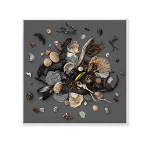 Beach Finds 03 - Dark