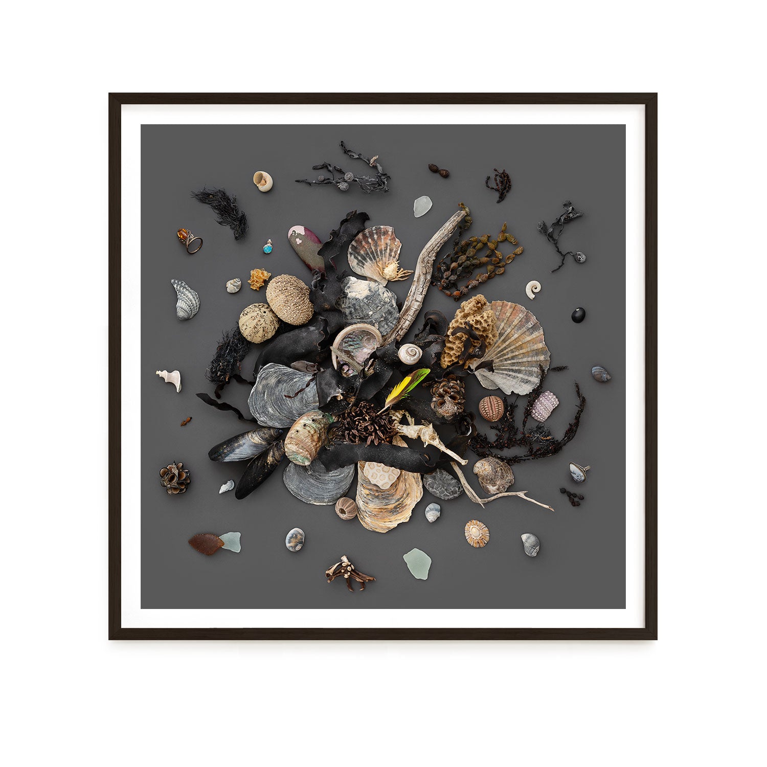 Beach Finds 03 - Dark